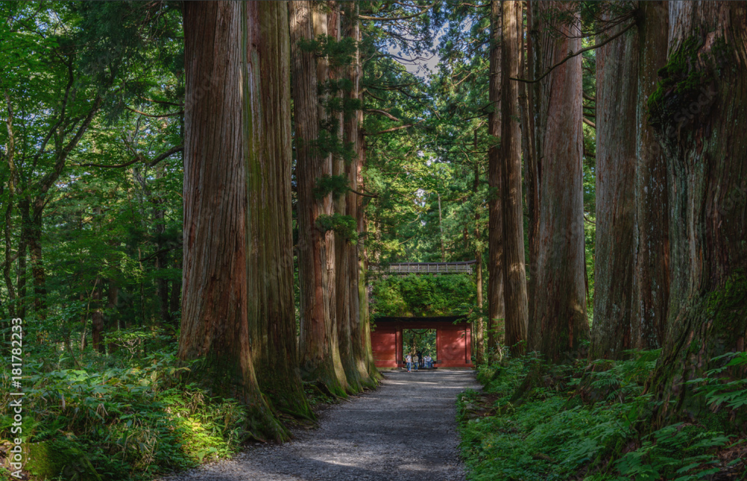 戸隠神社